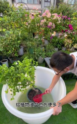 家庭养花用生根粉