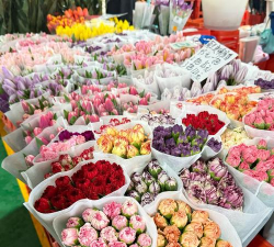 昆明鲜花批发怎么样