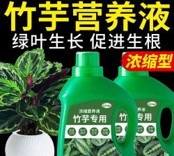 家庭养花用生根粉