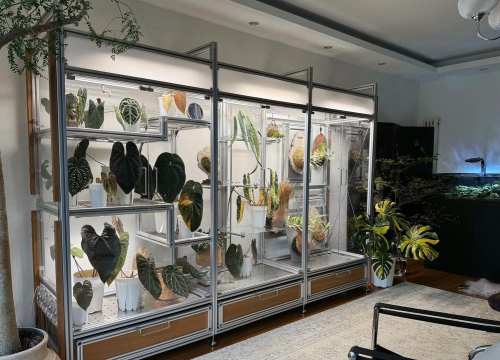 家庭养花用生根粉