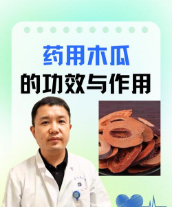 贴梗海棠果有什么药用