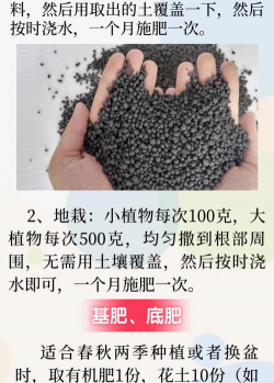 家庭养花用生根粉