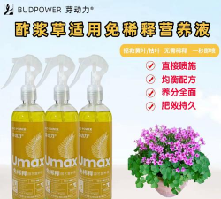 家庭养花用生根粉