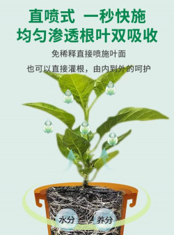 家庭养花用生根粉