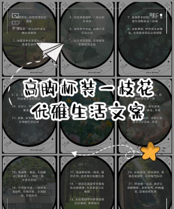 高脚杯养花文案