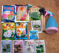 家庭养花用生根粉