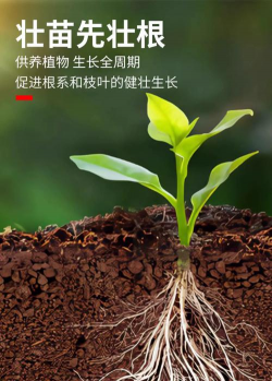 家庭养花用生根粉