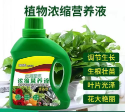 家庭养花用生根粉