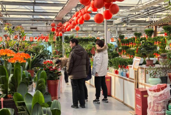 城市花卉生意怎么样