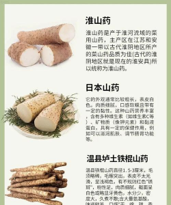 山药三方包括什么