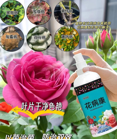 家庭养花用生根粉