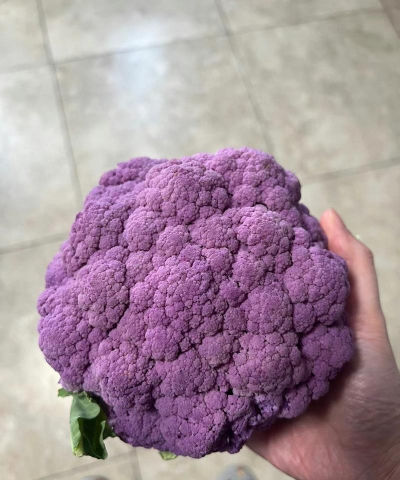 什么花紫颜色可以吃