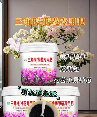 家庭养花用生根粉