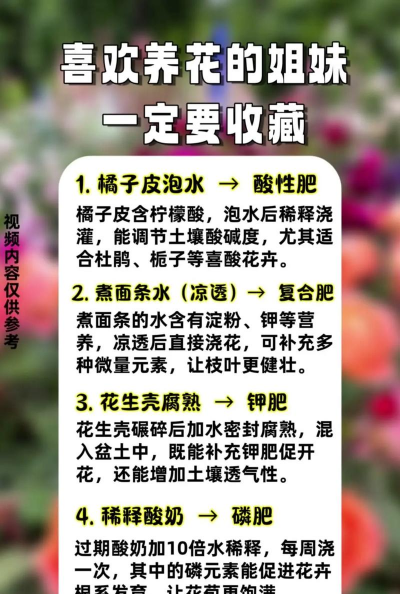 家庭养花用生根粉