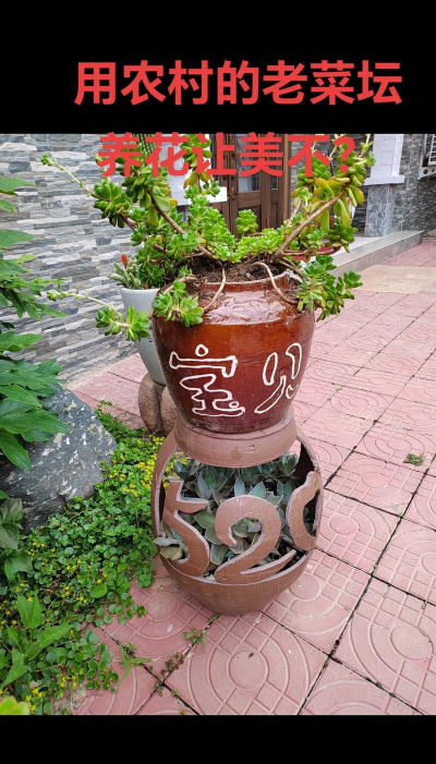 农村老物件养花