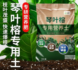 家庭养花用生根粉