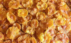 菠萝干产地什么地方