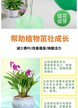 家庭养花用生根粉