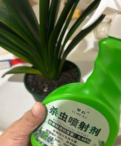 家庭养花用生根粉