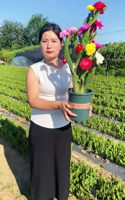 家庭养花用生根粉