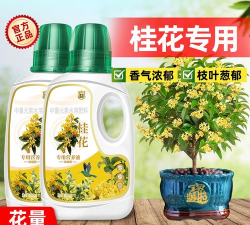 家庭养花用生根粉