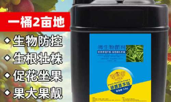 家庭养花用生根粉