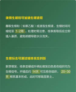 树扦插多久生根