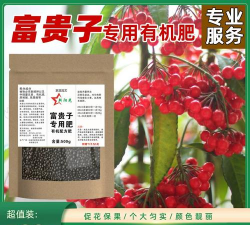 家庭养花用生根粉