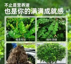 家庭养花用生根粉