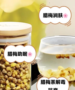 腊梅可以泡多久