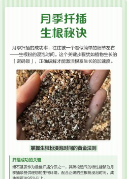 家庭养花用生根粉