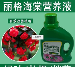 家庭养花用生根粉