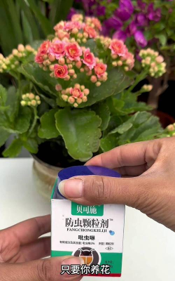 家庭养花用生根粉
