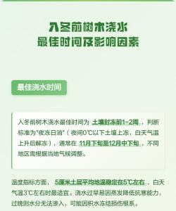 树木入冬前多久施肥