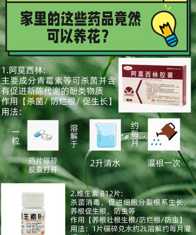 家庭养花用生根粉