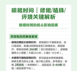 家庭养花用生根粉