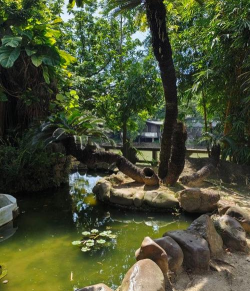 中山横栏宝裕有什么园林