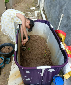 家庭养花用生根粉