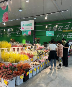 如何运作花卉市场