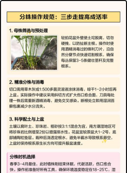 家庭养花用生根粉