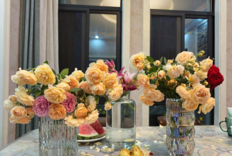 家庭养花用生根粉