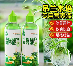 家庭养花用生根粉