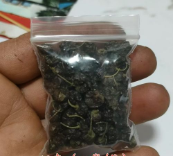 干的龙葵果有什么用