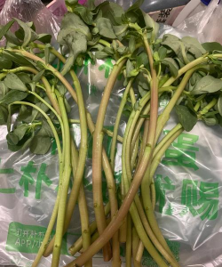 缺蓝菜长什么样