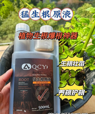 家庭养花用生根粉