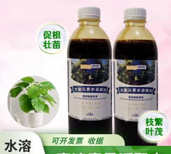 家庭养花用生根粉