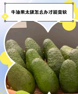 硬牛油果多久能变软