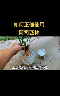 家庭养花用生根粉