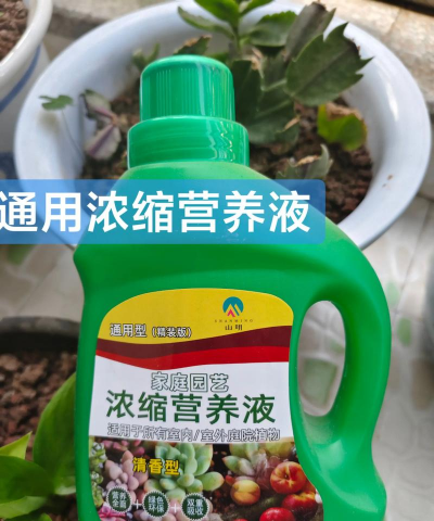 家庭养花用生根粉