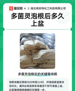 家庭养花用生根粉